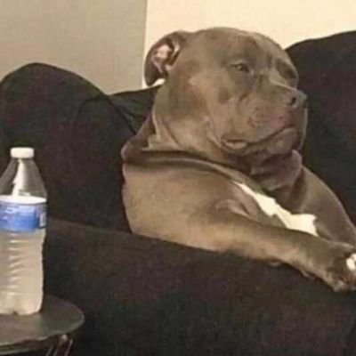 Gabbywurd's profile picture. crypto enthusiasts🌟latest news on cryptocurrency, believer🛐.Having fun with meme coins. /Manchester united/ ❤️