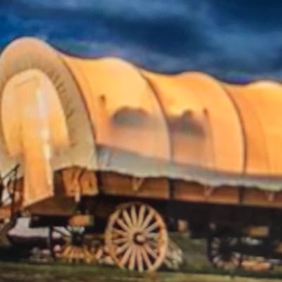 wagonwheelTLC Profile Picture