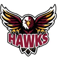 Horizon Science (@hsahsbasketball) 's Twitter Profile