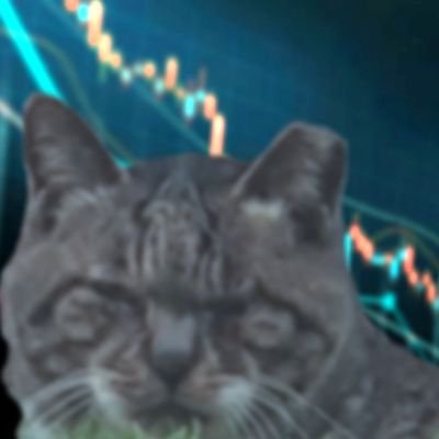 ionas_sub's profile picture. 언젠간 하나 둘 채워집니다.