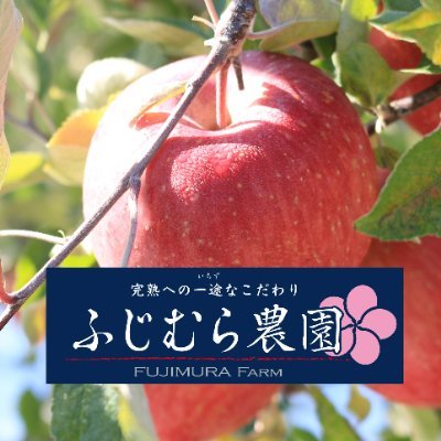盛岡市手代森にある「桃」「りんご」「お米」を生産する農園です。 完熟への一途なこだわり。美味しいさを追求している農園です。蜜入りんごにこだわりを持っています。