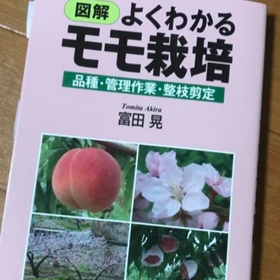 40歳🚹独身🥲東京で会社員してます。 人生後半新たな挑戦するため就農検討中。 桃農家になりたい🍑 就農目指してる人と仲良くなりたい。#就農 #新規就農