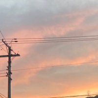 ありんこ (@iro_y2) 's Twitter Profile