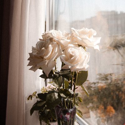 demarisgom10941's profile picture. 