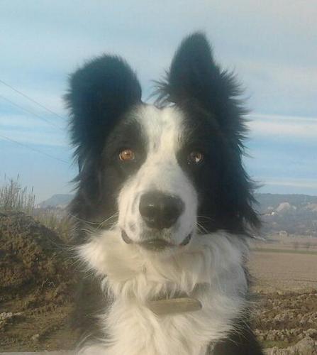 quim0303's profile picture. 