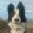 quim0303's profile image