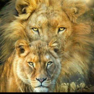 kbutt97's profile picture. 