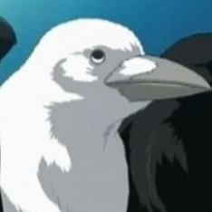 cuteplaguecore's profile picture. Pre-Debut Plague Nurse VTuber! Not "born" yet.