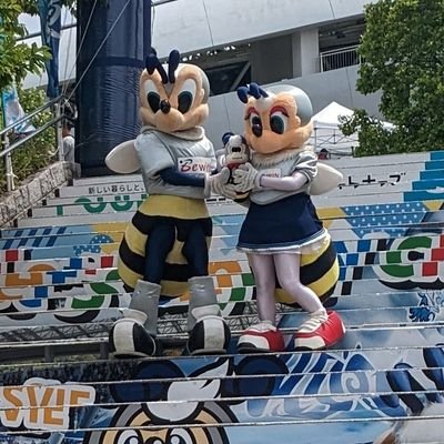 🐝Avispa Fukuoka🐝 アビスパ福岡サポーターです!2021年から応援してます!⚽️🐝無言フォロー大歓迎です! #紺野和也 選手 推し✨ #アビスバ福岡