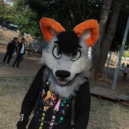 Fursuiter, Dibujante✍️, norteño🤠,Lobo naranja🐺🍊,Fursuitmaker Suitchees/ 🇲🇽Español/English🇺🇸
❌No Puppys❌