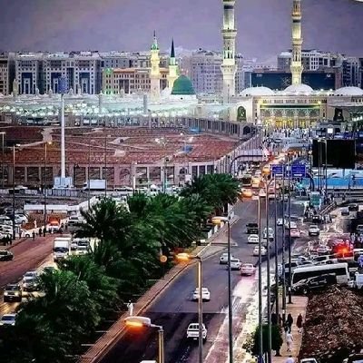 gororingo3's profile picture. Animal #pet #cat #dog