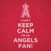 New Season. New Possibilities. Go Angels! (@adreamersview) Twitter profile photo