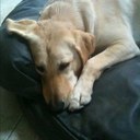 Will Coyle - @willcoyle1 - Twitter