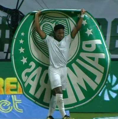 Palmeiras , Democrata e livre para ser o que quiser