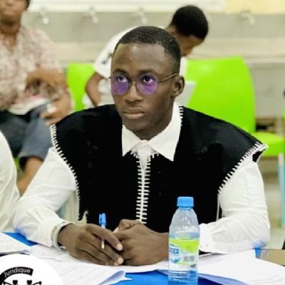 Ibeka224Diallo's profile picture. étudiant en ingénierie juridique écrivain scénariste 🇸🇳🇸🇳