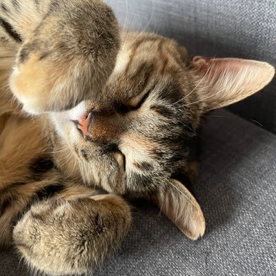 hyuuu_06's profile picture. 4CJJ