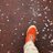 undermoon9312