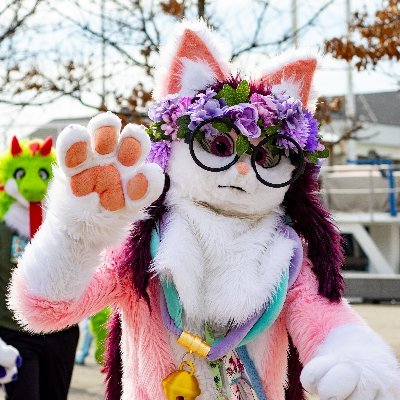 Fursuit maker, progress on this twitter.
Living to make days better for people that are worth it
dms are open

Am just a cat on twitter🐈

My discord cedmanotro
