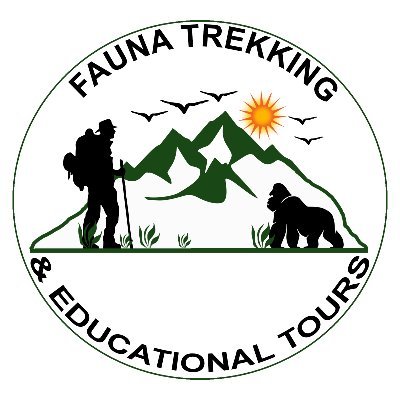 Laurent_194's profile picture. Visit Rwanda with Fauna Trekking & Educational Tours
email: faunatrekking@gmail.com@gmail.com
Tell: +250789325813