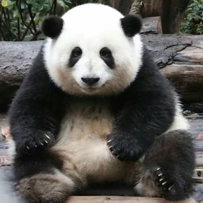 alxe0106's profile picture. 