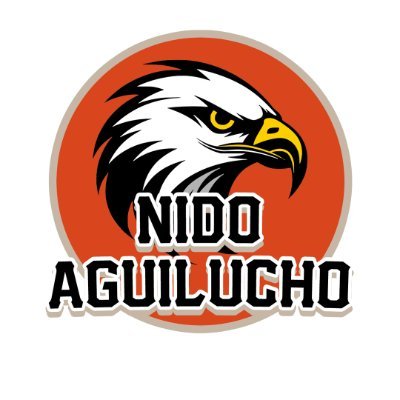 nido_aguilucho Profile Picture