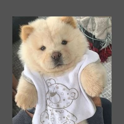 rayorayo's profile picture. {user}