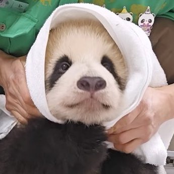 yun065870047859's profile picture. 이겨이겨이겨이겨이겨 
@forever LG