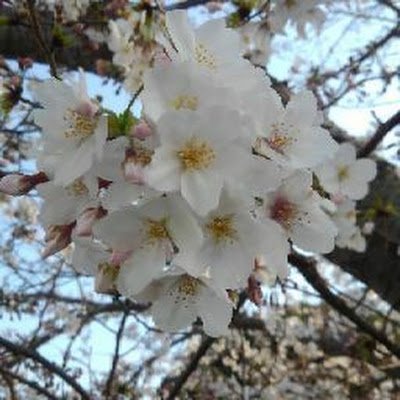 outaspace66's profile picture. 