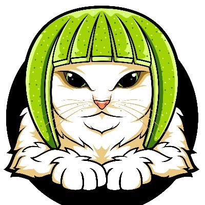 Lime Cat is here for the lols and memes. Yup, that's a lime (not a melon) on my head. $LIME

Telegram: https://t.co/Sf12CZFKpS

https://t.co/hyjQUN8GWo