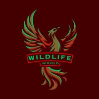 Wildlife World(@wildlifeworld98) 's Twitter Profile Photo