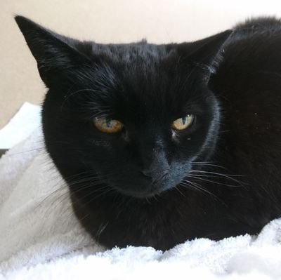 Dhjs67's profile picture. Just a happy person