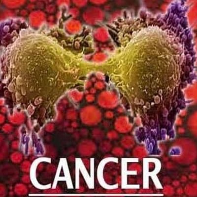 DEVILARMY261385's profile picture. 