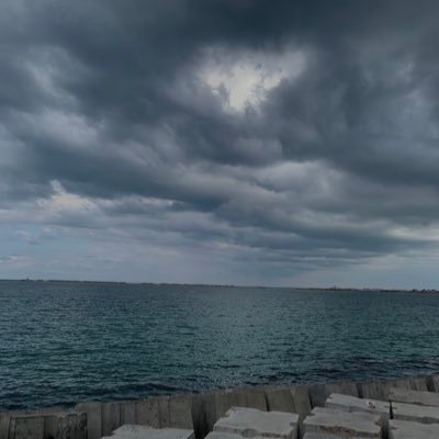 m_alsir999's profile picture. ça va ?