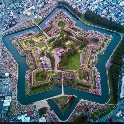 mct19750909's profile picture. 