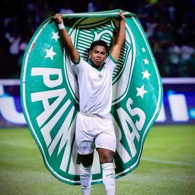 PALMEIRAS 💚