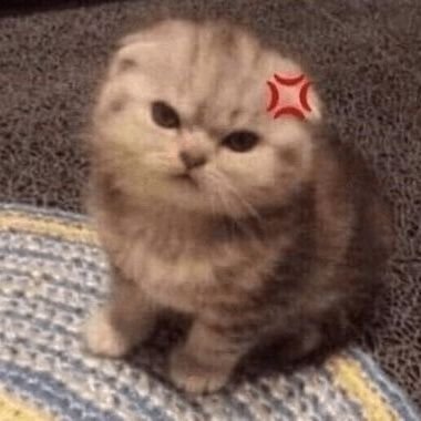 Ji__Emrk's profile picture. diary ko to, alis ka rito