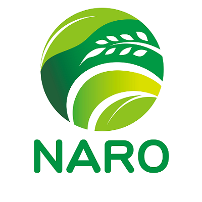 NARO_JP Profile Picture