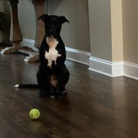 Jeff Barton (@kingofcamelot21) 's Twitter Profile