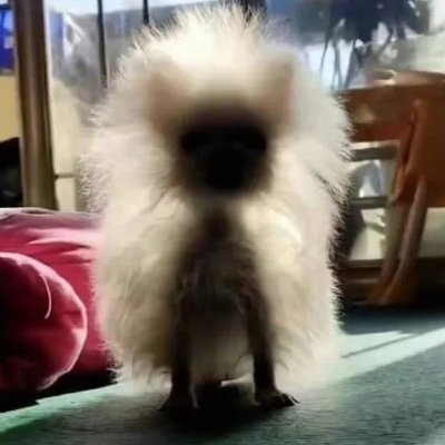 lr02nnn's profile picture. 성인