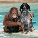 John Chris McVey - @McVeyJohn - Twitter