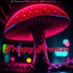 Trippy Promos (@trippypromos) Twitter profile photo Trippy Promos (@trippypromos) Twitter profile photo