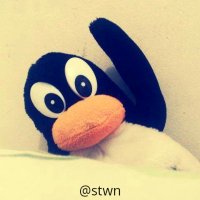 stwn(@stwn) 's Twitter Profile Photo