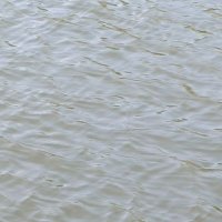 Darshak Raval (@darshakraval) 's Twitter Profile