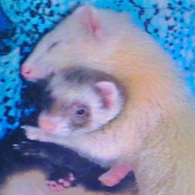 ゆうらさんのプロフィール画像