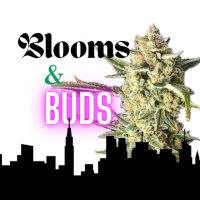 🌿Blooms & Buds💨(@BloomsAndBudsNY) 's Twitter Profile Photo