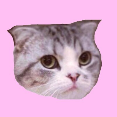 TswiftMeredith_ Profile Picture