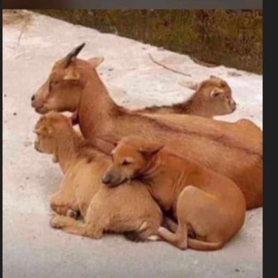 anuolasegun04's profile picture. 