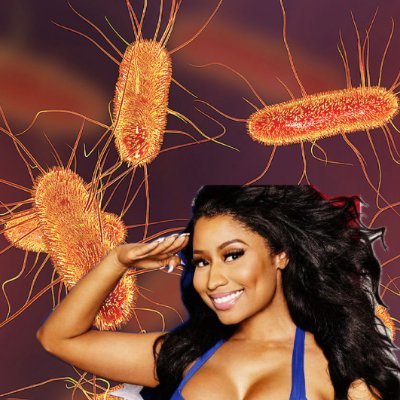 nickiminajellaa's profile picture. microscopic realm where I reign supreme
infectious beats a Nicki Minajella dream