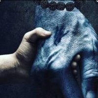 Pooja (@bharatgirl) 's Twitter Profile Photo Pooja (@bharatgirl) 's Twitter Profile Photo