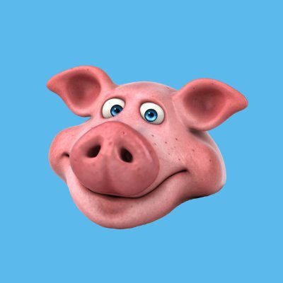 Piggy_zk Profile Picture